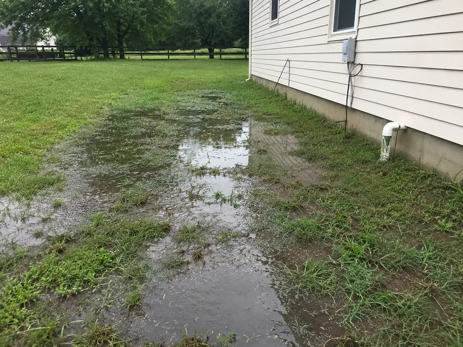 Standing water on a lawn over a septic drain field
